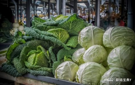 中国农产品“墙内开花墙外香” 出口低价与国内滞销的双重困境