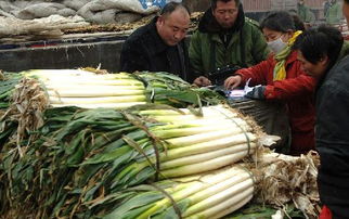 农产品“绿色通道”广受欢迎，助力乡村振兴与民生保障