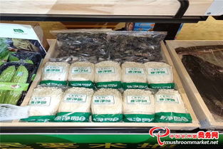 山东潍坊康净园集团公司菌类产品亮相潍坊农产品区域公用品牌推介会