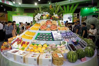 打造鲜活水产品区域公用品牌的三大关键环节