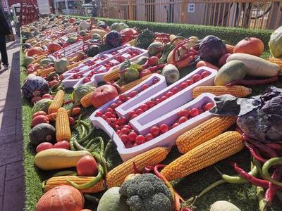 银川农产品 绿色发展的丰收画卷